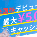 松井証券【最大5,000円！】米国株デビュー応援キャンペーン！